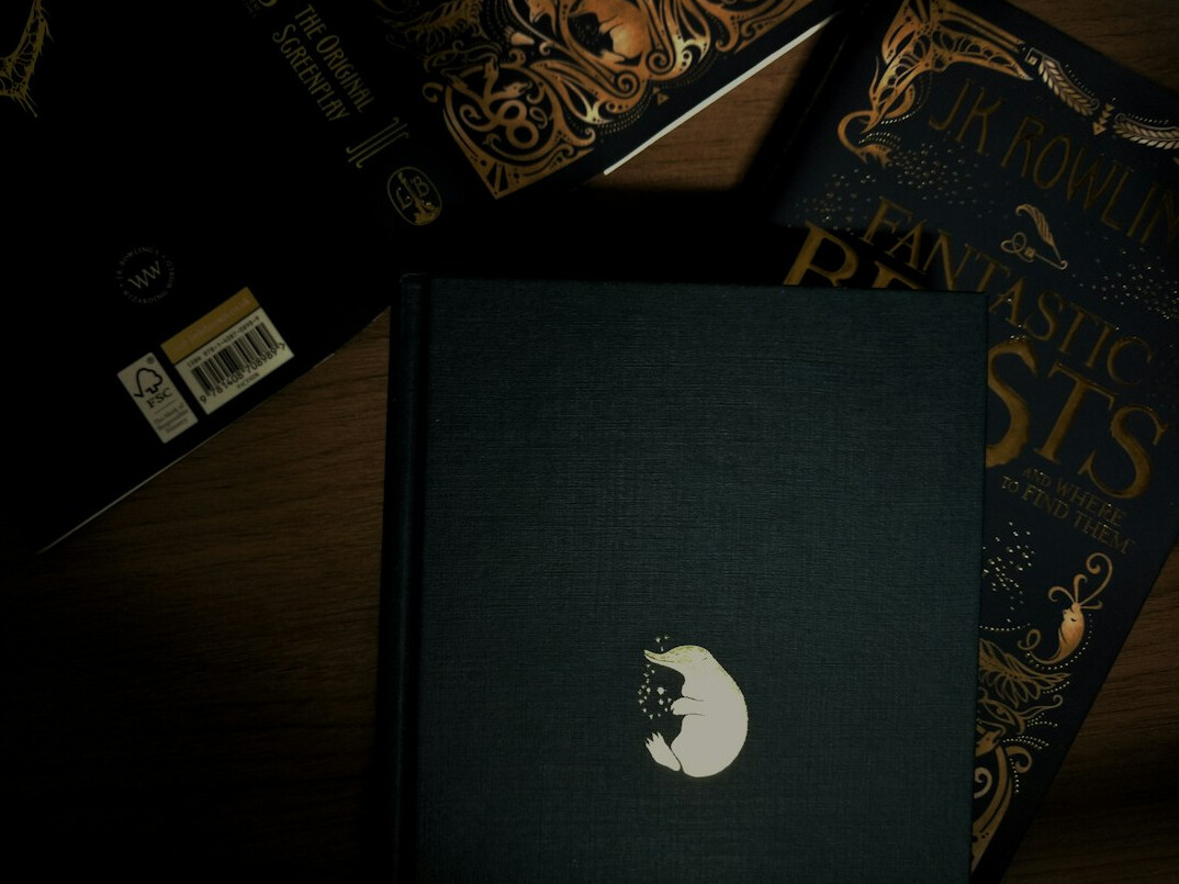 mysterious book cover